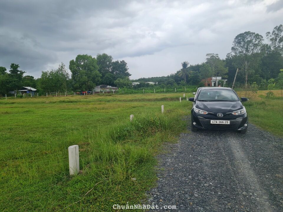 bán đất đường dt 786 huyện bến cầu tỉnh tây ninh,shr bán đất đường dt 786 huyện bến cầu tỉnh tây ninh,shr