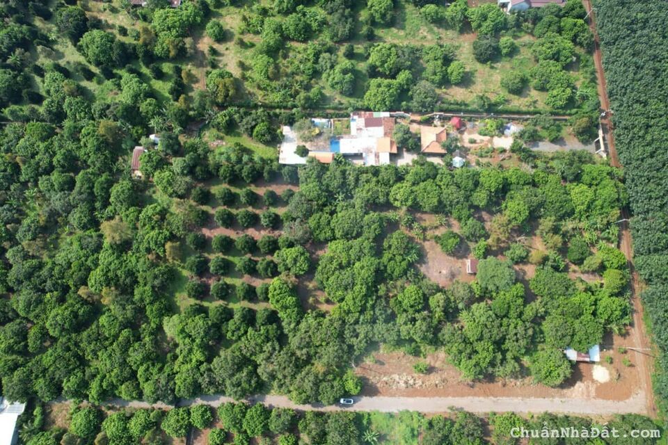 Gia Đình Cần Bán Đất Sào Bàu Hàm 2 ( 0933425550)