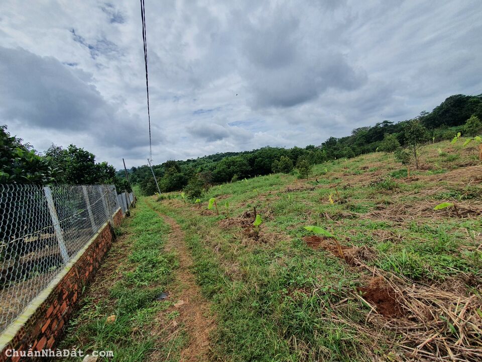 Bung 13 Sào Ngay Khu Dân Cư Dầu Giây. chỉ từ 1 tỷ 350 sào.