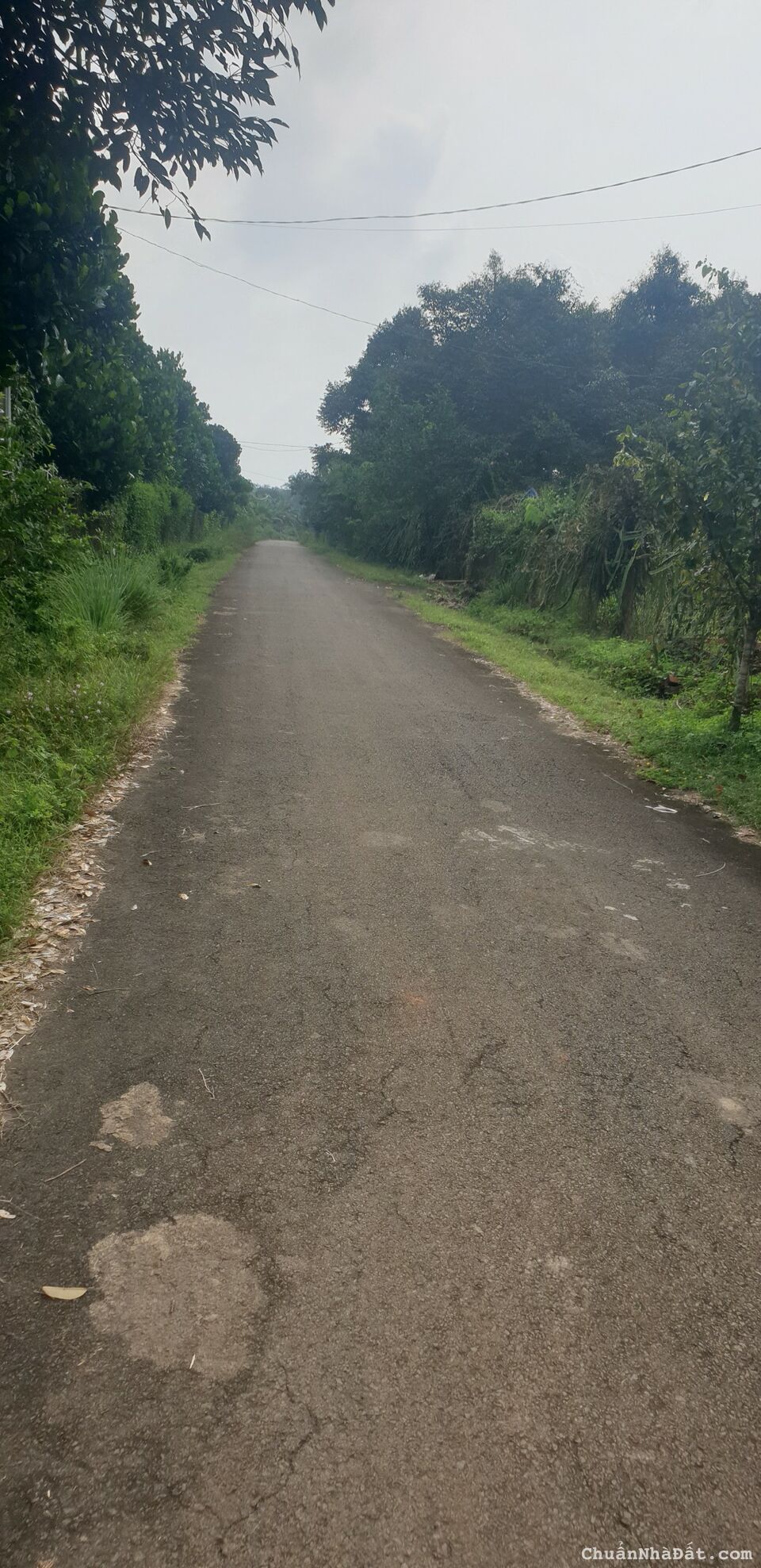 Đất nền Gần KCN Dầu Giây. 125m2 chỉ 890tr.