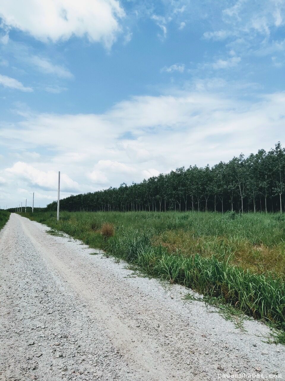 Bán đất vành đai Khu công nghiệp Becamex giá chỉ 600tr. Đường nhựa 12m. Liên hệ chính chủ cần bán. 