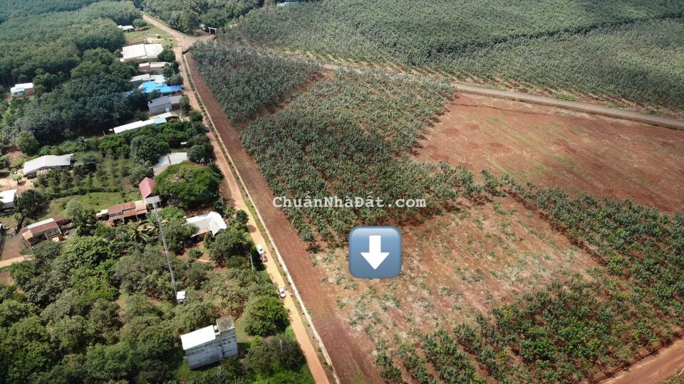 Trục chính đường nhựa lộ giới 18m nhưng giá chỉ có hơn 1tr/m2. Sổ sẵn+ có thổ cư. Lh chính chủ