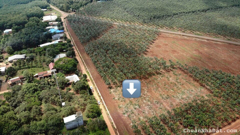 Bán đất chuẩn bị lên Thị Xã hơn 500m2 có 100m thổ cư. Giá bán hơn 700tr. Nhánh đường nhựa lớn 42m. 