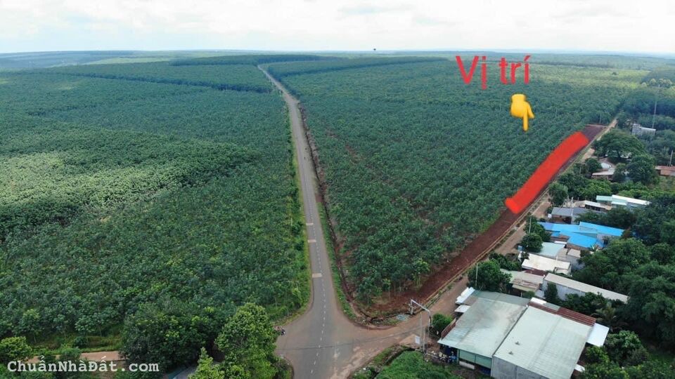 Bán đất chuẩn bị lên Thị Xã hơn 500m2 có 100m thổ cư. Giá bán hơn 700tr. Nhánh đường nhựa lớn 42m. 