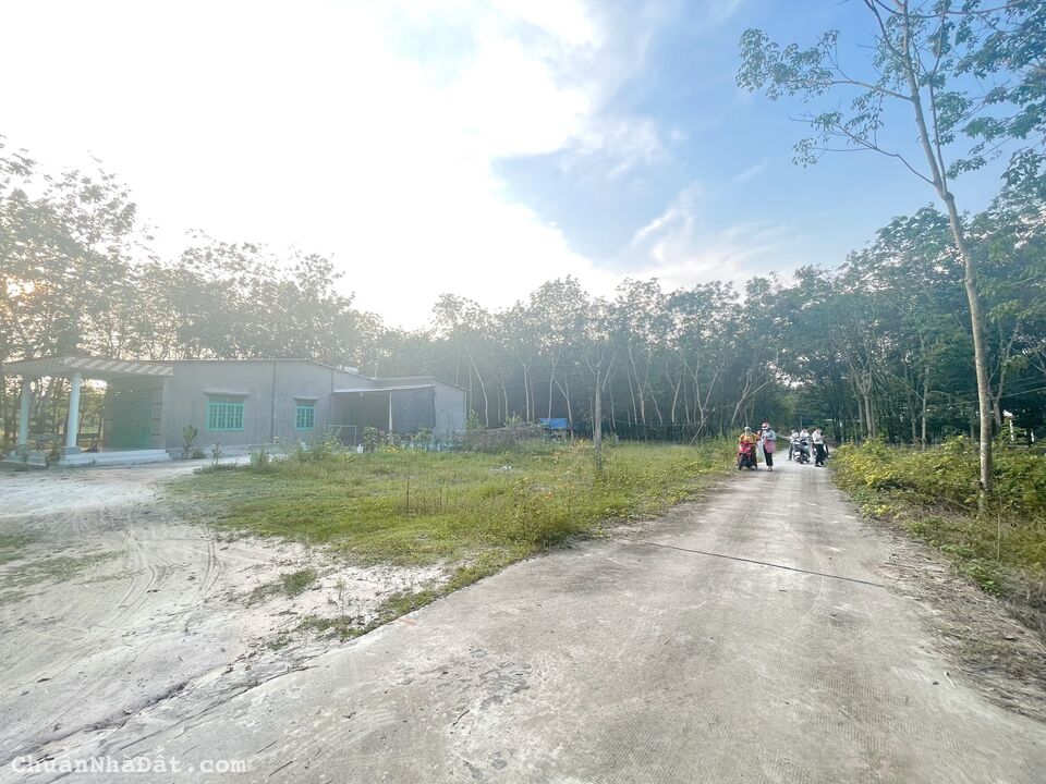  Bán 10m sau Phúc Hưng giá chỉ 675tr cách đường phía tây QL13 64m đúng 700m. Liên hệ chính chủ