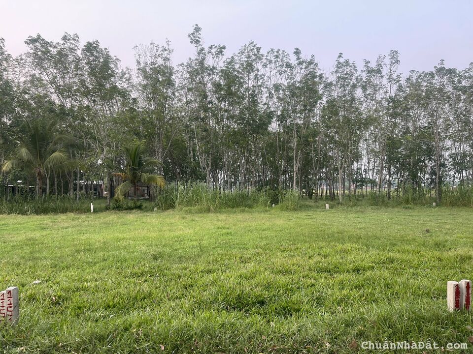 Bán lô đất 2 mặt tiên tại Trảng Bàng-TN ( 276m2)