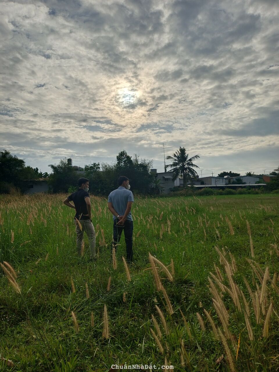 Hiện tại em đang có 2 lô đất liền kề nằm sát vách trường cấp 1 và 2 cần bán gấp