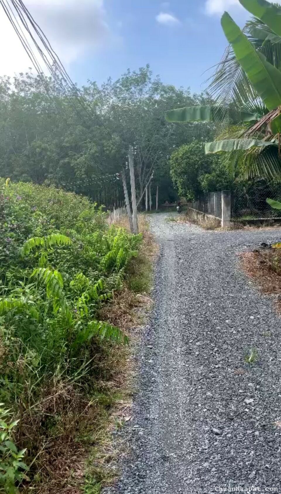 Bán lô đất gò dầu, 138m có 100 thổ cư giá 700tr sổ hồng bao sang tên LH: 07.888.53.730 Tuyến