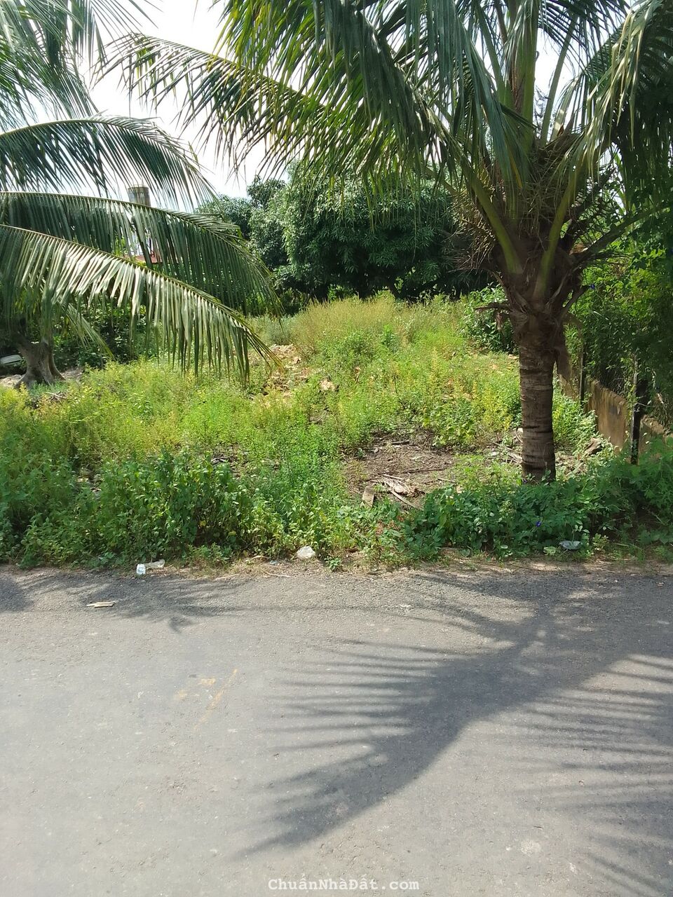 Chính chủ bán đất xã Trí Bình, huyện Châu Thành 332m2 giá 1 tỷ 4 có sổ riêng