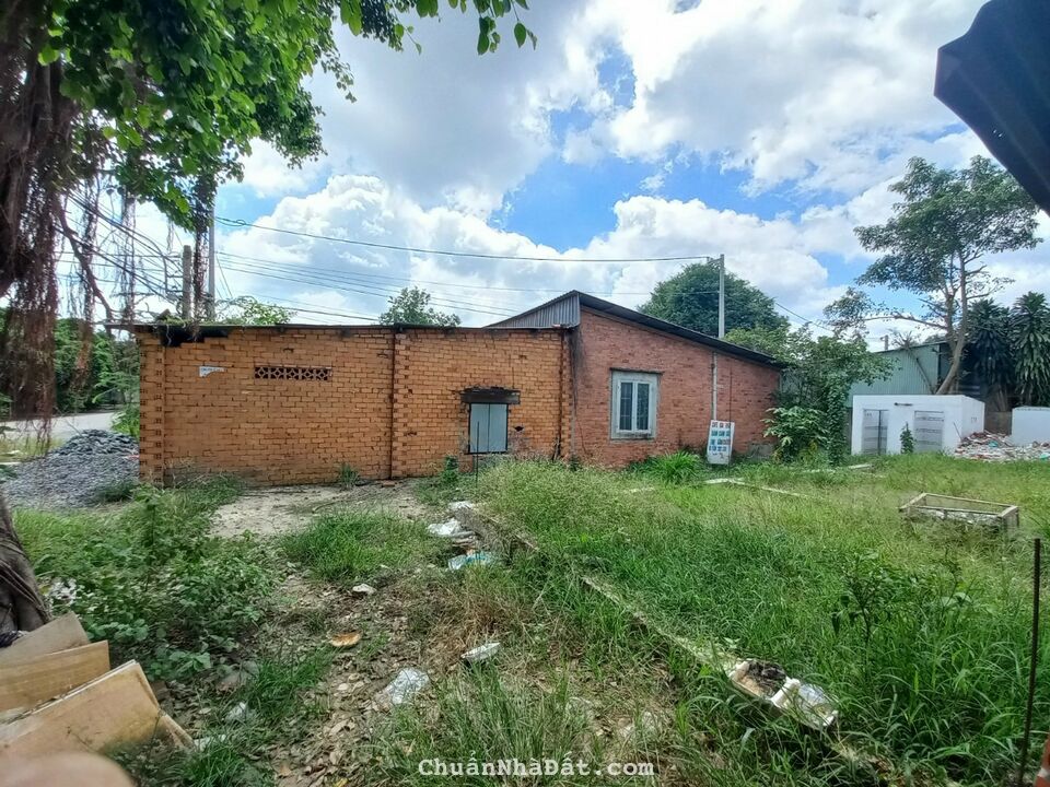 Tôi cần bán gấp lô đất 267m2 tại Gò Dầu_Tây Ninh