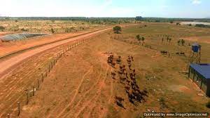 Bán đất nông nghiệp huyện Bắc Bình, DT nhỏ, gần liên huyện, sẵn sổ. LH 0903877847 xem sổ