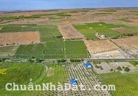 Bán đất nông nghiệp huyện Bắc Bình, DT nhỏ, gần liên huyện, sẵn sổ. LH 0903877847 xem sổ