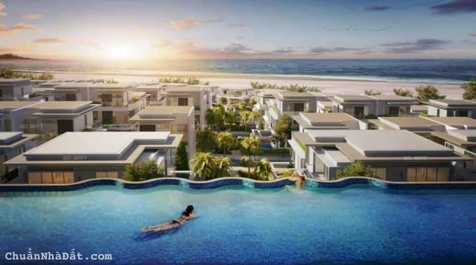 The SaeHaRa Bán Giai đoạn đầu Giá F0 The SaeHaRa Bán Giai đoạn đầu Giá F0