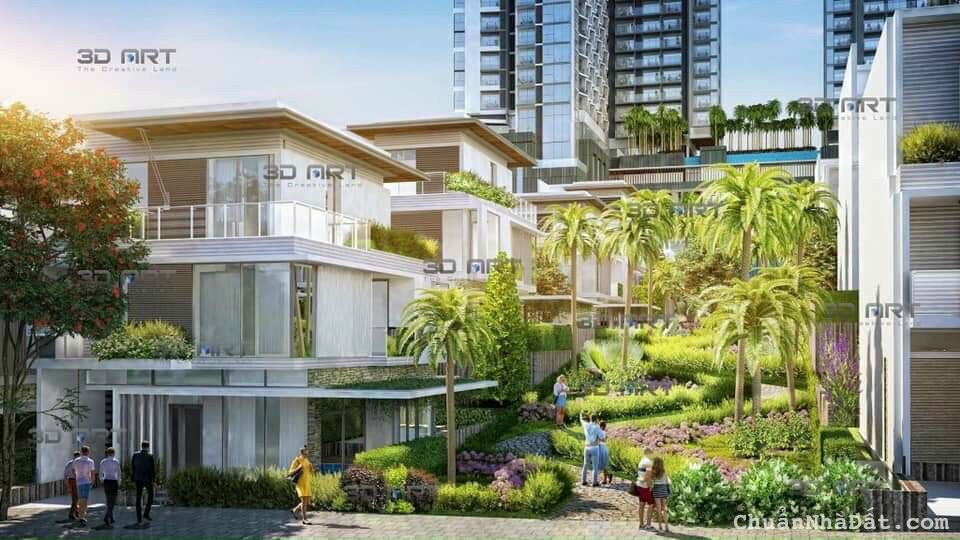 The SaeHaRa Bán Giai đoạn đầu Giá F0 The SaeHaRa Bán Giai đoạn đầu Giá F0