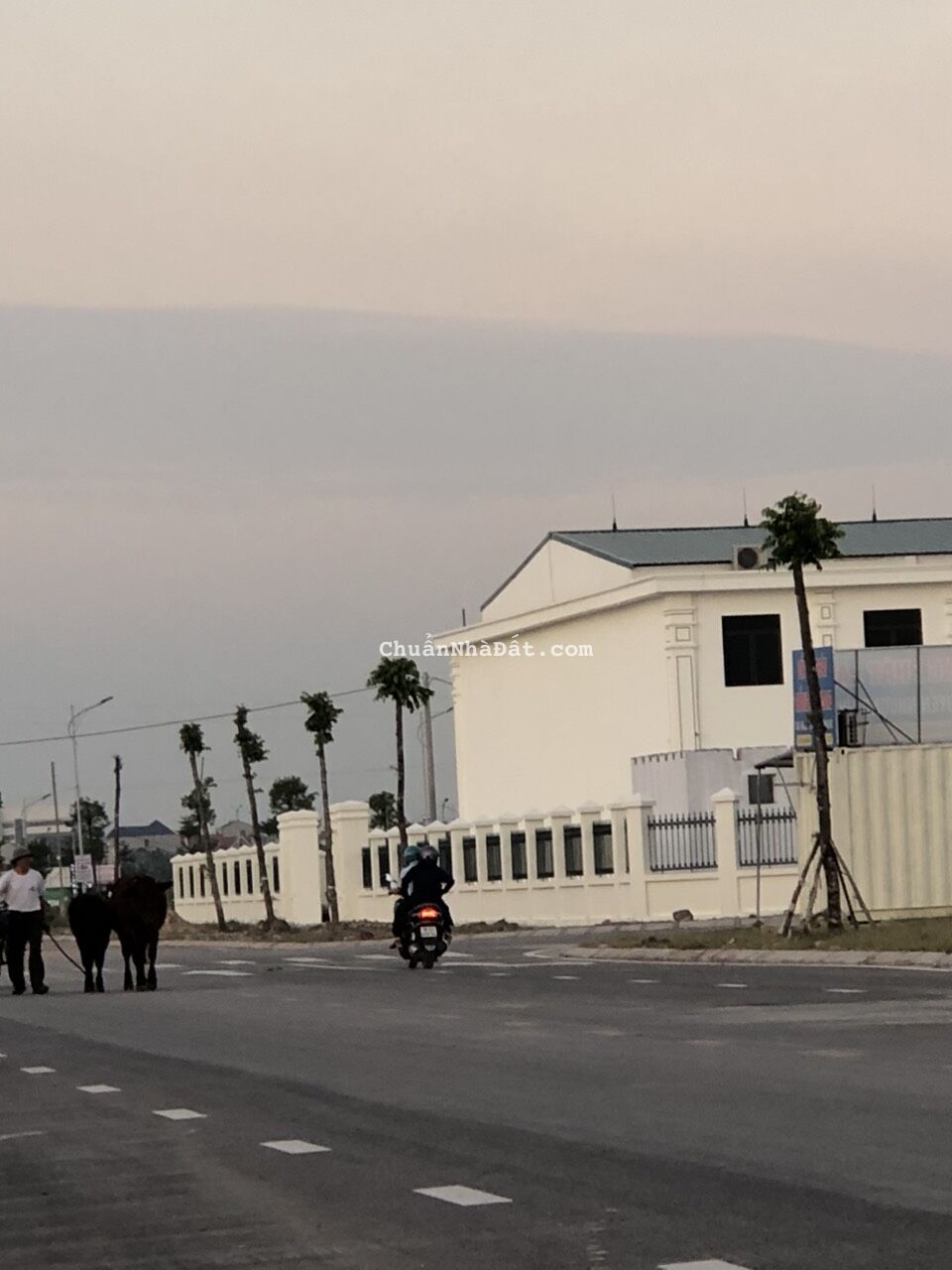 Bán đất thị trấn Bích Động, mặt tiền 5,5m, view trường học giá 1,45 tỷ. Bán đất thị trấn Bích Động, mặt tiền 5,5m, view trường học giá 1,45 tỷ.