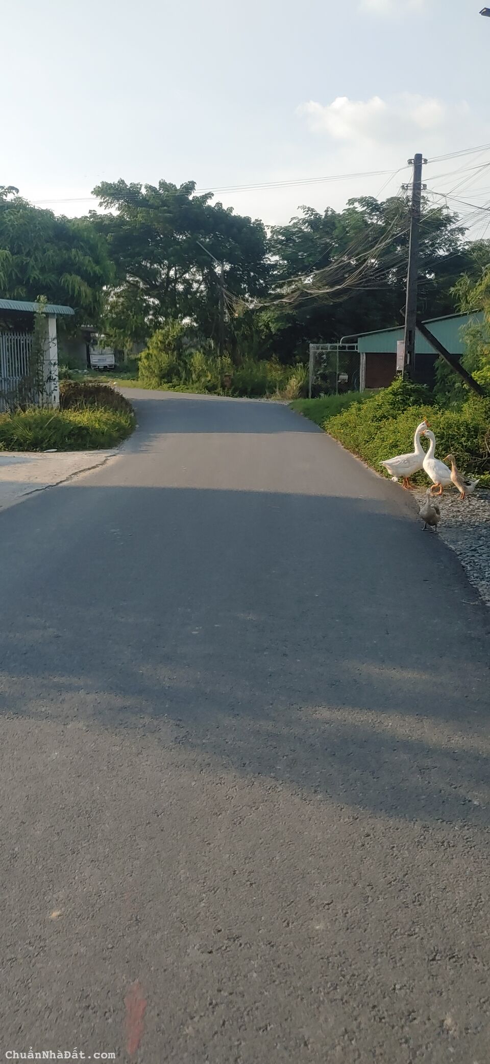 Chư cần tiền nên bán gấp căn nhà tâm huyết ngay đại lộ 3t2 hậu nghĩa Chư cần tiền nên bán gấp căn nhà tâm huyết ngay đại lộ 3t2 hậu nghĩa