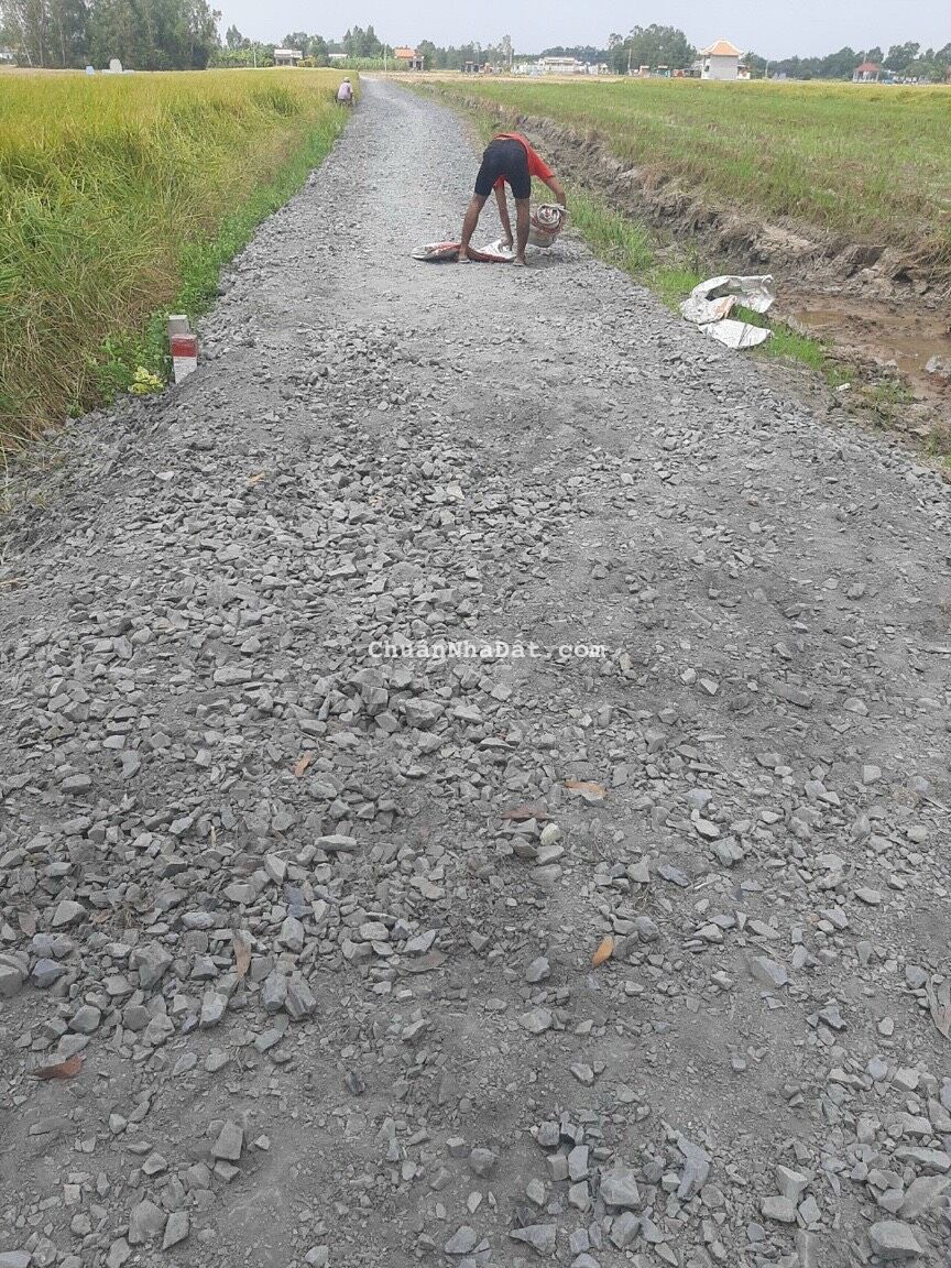 Lô ĐẤT THỔ full quá rẻ và đẹp gần khu cn Trần Anh Tân Phú Lô ĐẤT THỔ full quá rẻ và đẹp gần khu cn Trần Anh Tân Phú