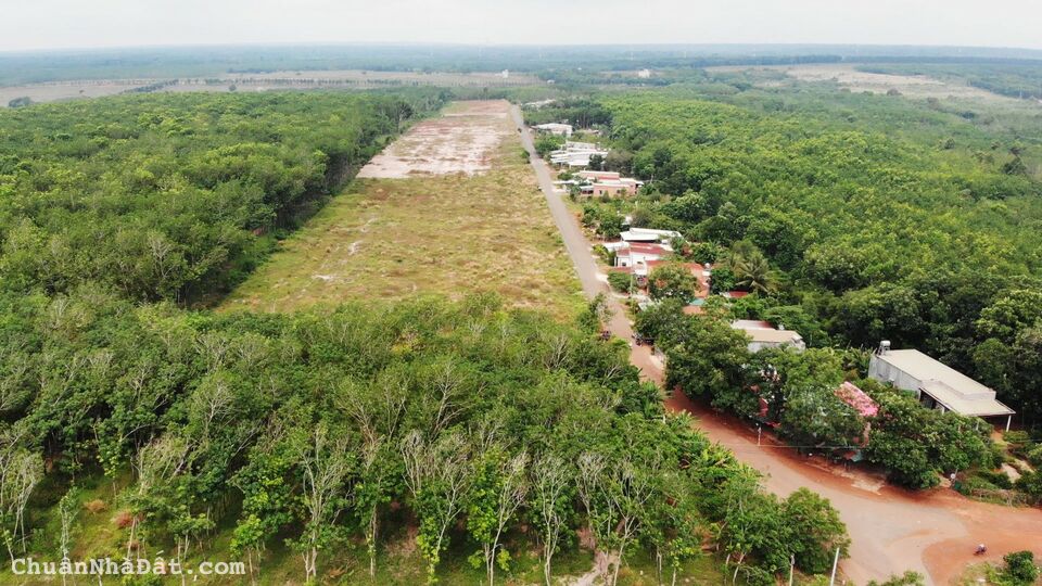 𝐂ầ𝐧 𝐁á𝐧 𝐁Đ𝐒 𝐇ớ𝐧 𝐐𝐮ả𝐧, 𝐁ì𝐧𝐡 𝐏𝐡ướ𝐜 𝟖𝟏𝟏𝐦𝟐(𝟏𝟎𝟎𝐭𝐜) 𝐧𝐠𝐚𝐲 𝐃𝐓𝟕𝟓𝟐 𝟑𝟐𝐦