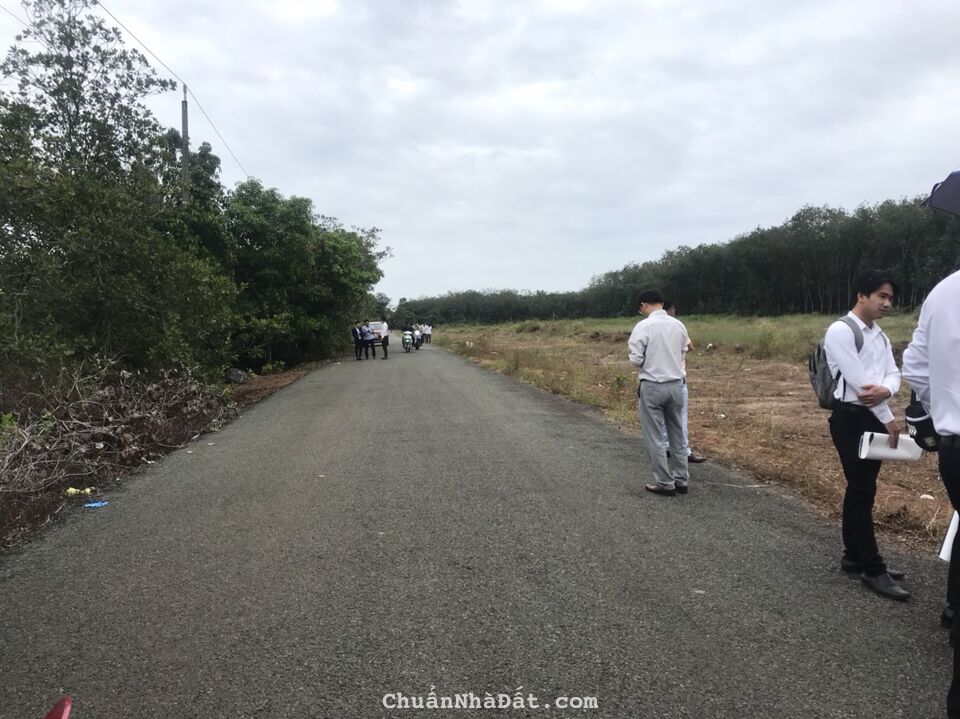 𝐒𝐢ê𝐮 𝐏𝐡ẩ𝐦 𝐇ớ𝐧 𝐐𝐮ả𝐧 𝟕𝟒𝟑𝐦𝟐 Đườ𝐧𝐠 𝐑ộ𝐧𝐠 𝟑𝟐𝐦, 𝐒𝐇𝐑