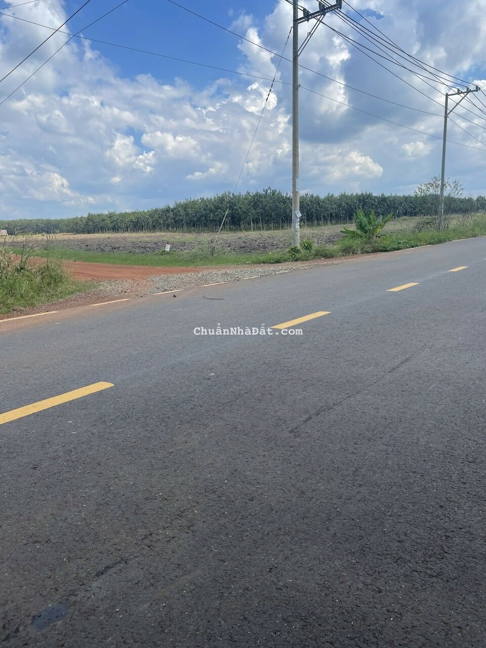 Đấ𝐭 𝐛á𝐧 𝐧𝐠𝐚𝐲 đườ𝐧𝐠 𝐧𝐡ự𝐚 𝐃𝐓𝟕𝟓𝟔 𝐜ủ𝐚 𝐂𝐡ơ𝐧 𝐓𝐡à𝐧𝐡