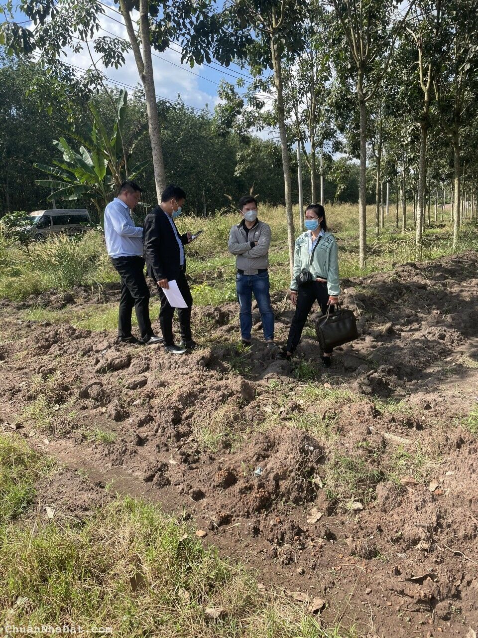 Đấ𝐭 𝐛á𝐧 𝐧𝐠𝐚𝐲 đườ𝐧𝐠 𝐧𝐡ự𝐚 𝐃𝐓𝟕𝟓𝟔 𝐜ủ𝐚 𝐂𝐡ơ𝐧 𝐓𝐡à𝐧𝐡