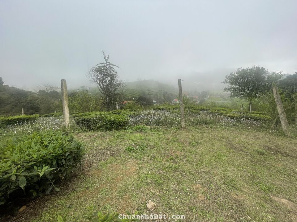  CHÍNH CHỦ CẦN TIỀN BÁN MẢNH ĐẤT DT KHOẢNG 4000M2, NGAY TẠI XÃ CHIỀNG SƠN - MỘC CHÂU.       