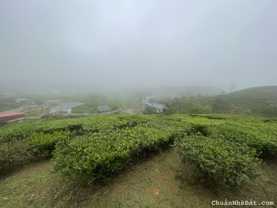  CHÍNH CHỦ CẦN TIỀN BÁN MẢNH ĐẤT DT KHOẢNG 4000M2, NGAY TẠI XÃ CHIỀNG SƠN - MỘC CHÂU.       