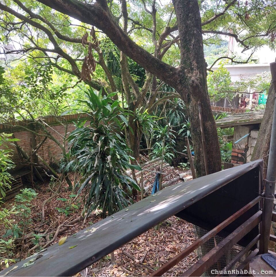 Cần bán gấp nhà mặt đường chính TP Bắc NInh, 242m2, chỉ 11.5 tỷ