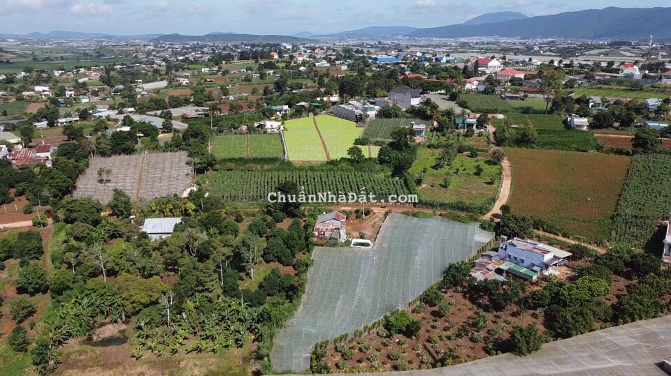 495 triệu 5x42m sẵn 80m2 thổ cư ngay trung tâm Pró, Đơn Dương, Lâm Đồng