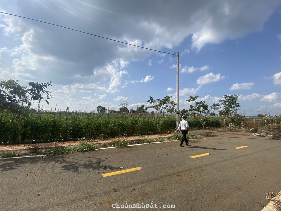 12,4x20m full thổ cư ngay khu hành chính Liên Nghĩa, Đức Trọng, Lâm Đồng giá 2 tỷ