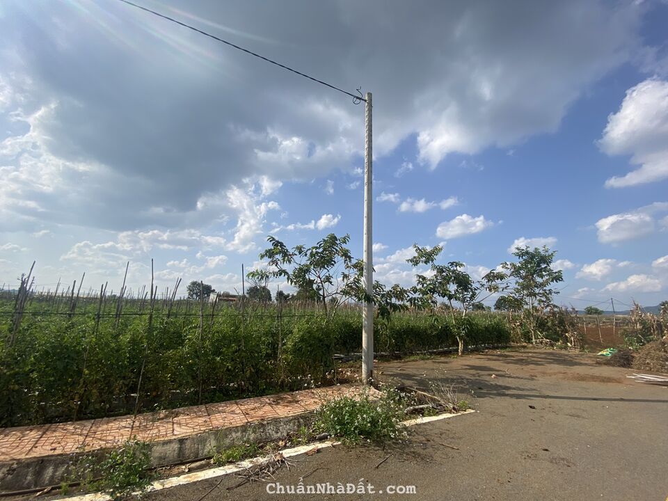 12,4x20m full thổ cư ngay khu hành chính Liên Nghĩa, Đức Trọng, Lâm Đồng giá 2 tỷ