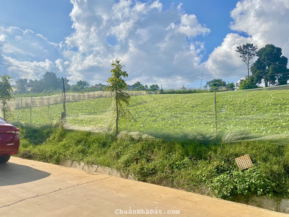 Bán lô đất 2 mặt tiền 6,4x29m sẵn 72m2 thổ cư gần trường Ka Đô 2, Đơn Dương, Lâm Đồng 835 triệu
