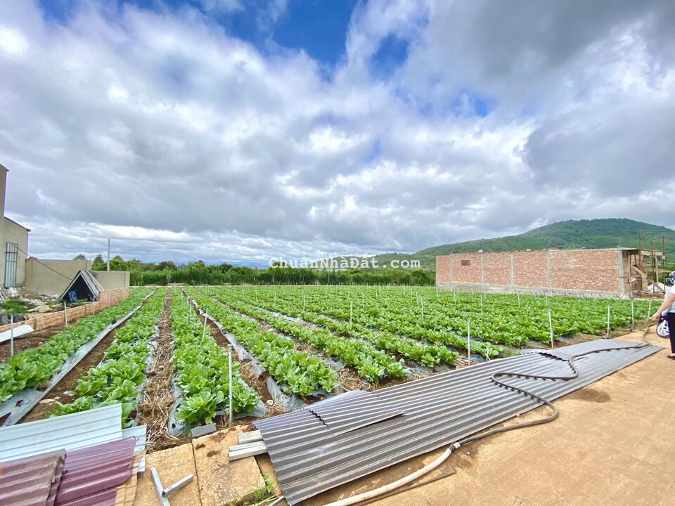 Bán 10x20m sẵn thổ cư tại hẻm Quốc Lộ 27, Liên Hiệp, Đức Trọng, Lâm Đồng giá 1,65 tỷ