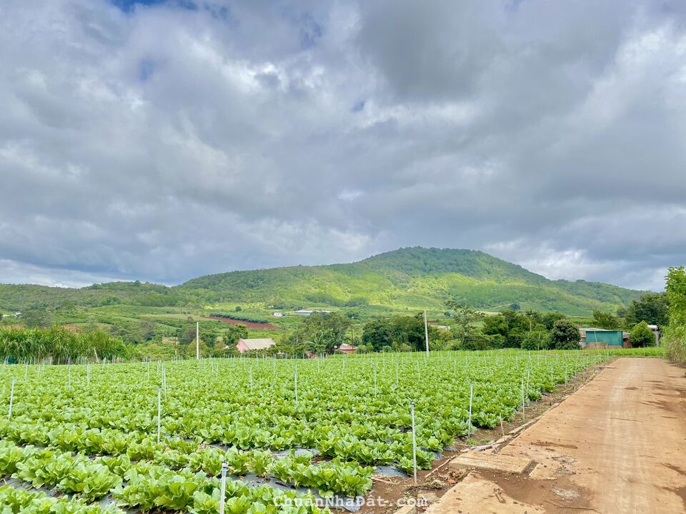 Bán 10x20m sẵn thổ cư tại hẻm Quốc Lộ 27, Liên Hiệp, Đức Trọng, Lâm Đồng giá 1,65 tỷ