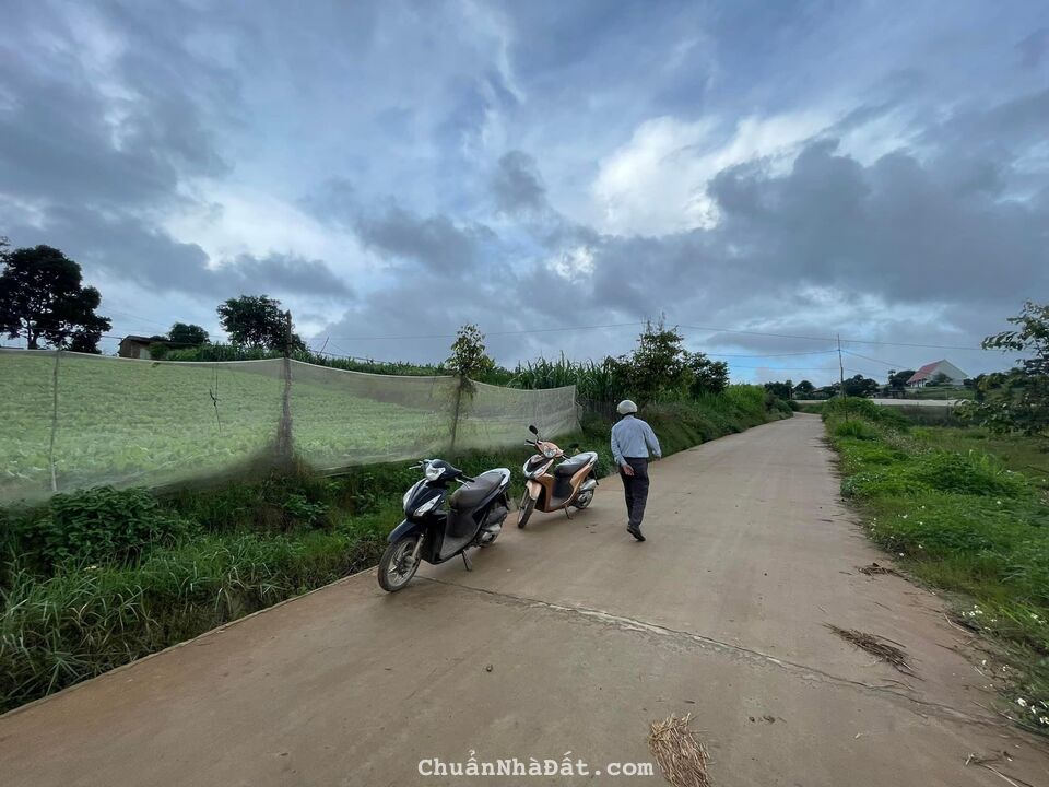 Bán gấp 189m2 đất thổ cư nằm tại KDC cạnh Trường TH Ka Đô 2, Đơn Dương 835tr Bán gấp 189m2 đất thổ cư nằm tại KDC cạnh Trường TH Ka Đô 2, Đơn Dương 835tr