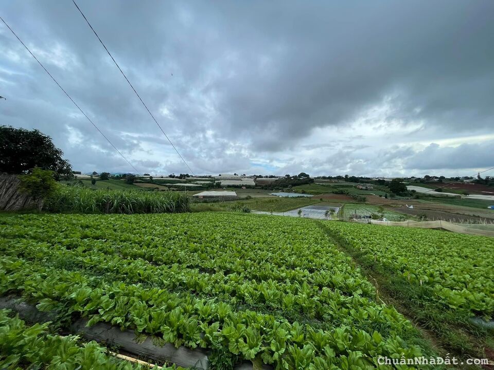 Bán gấp 189m2 đất thổ cư nằm tại KDC cạnh Trường TH Ka Đô 2, Đơn Dương 835tr Bán gấp 189m2 đất thổ cư nằm tại KDC cạnh Trường TH Ka Đô 2, Đơn Dương 835tr