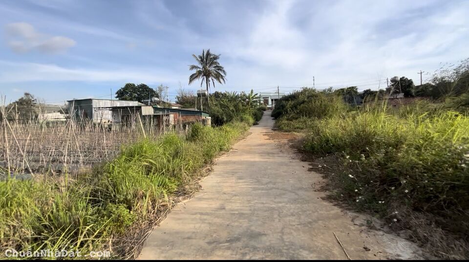 Bán gấp trả nợ lô đất 7x18m (72m TC) tại Đơn Dương chỉ 595tr