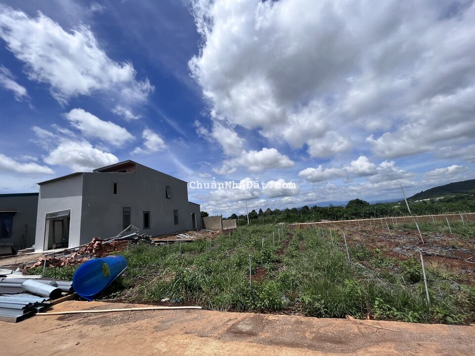 Bán hơn 200m2 tại Liên Hiệp, Đức Trọng chỉ 1.6 tỷ ( TL mạnh)