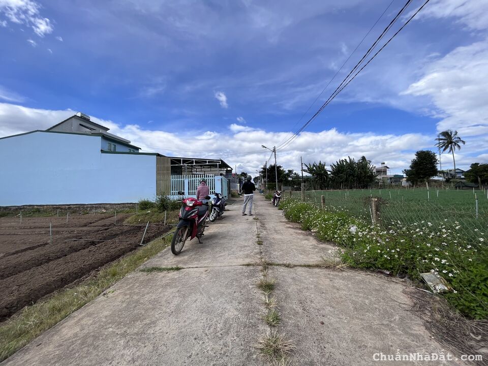 Bán 5x26m đất thổ cư hẻm Thống Nhất tại Phú Hội, Đức Trọng chỉ 1.399 tỷ Bán 5x26m đất thổ cư hẻm Thống Nhất tại Phú Hội, Đức Trọng chỉ 1.399 tỷ