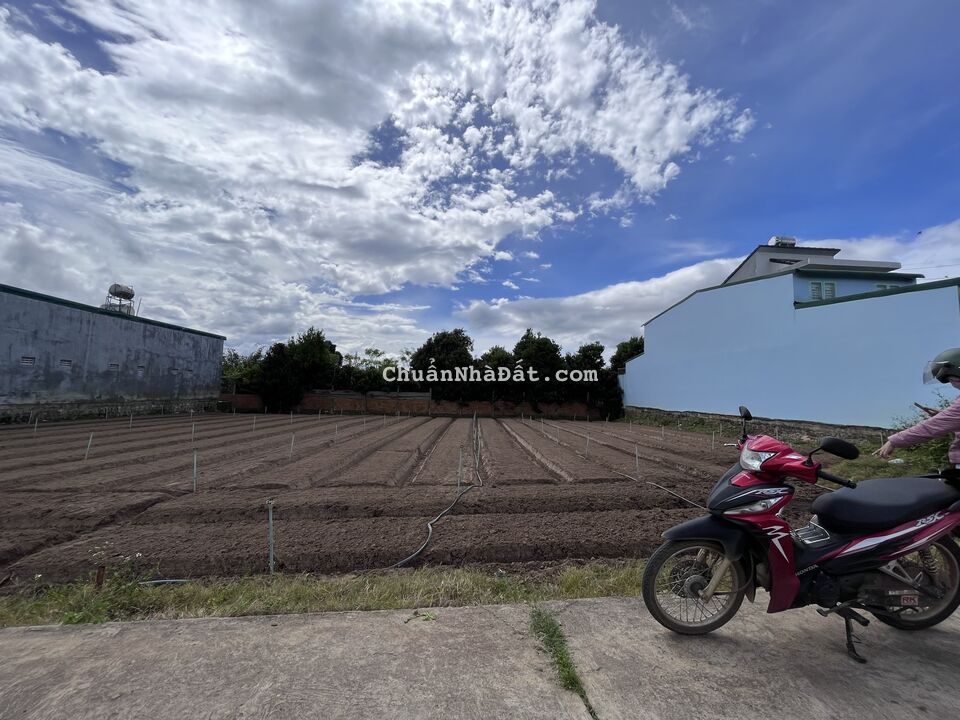 Bán 5x26m đất thổ cư hẻm Thống Nhất tại Phú Hội, Đức Trọng chỉ 1.399 tỷ Bán 5x26m đất thổ cư hẻm Thống Nhất tại Phú Hội, Đức Trọng chỉ 1.399 tỷ