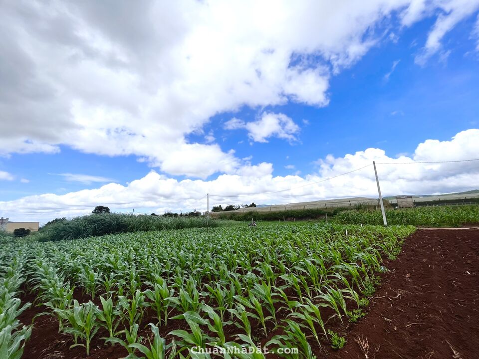 Bán 142m2 (100m2 TC) đất View sông nghỉ dưỡng tại Đơn Dương chỉ 950tr