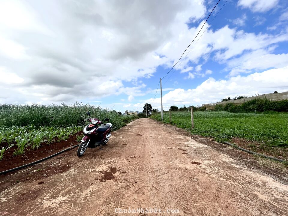 Bán 142m2 (100m2 TC) đất View sông nghỉ dưỡng tại Đơn Dương chỉ 950tr