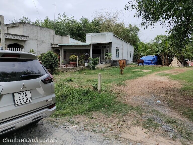 CẦN TIỀN NÊN BÁN NHANH LÔ ĐẤT 130m2 CẦN TIỀN NÊN BÁN NHANH LÔ ĐẤT 130m2