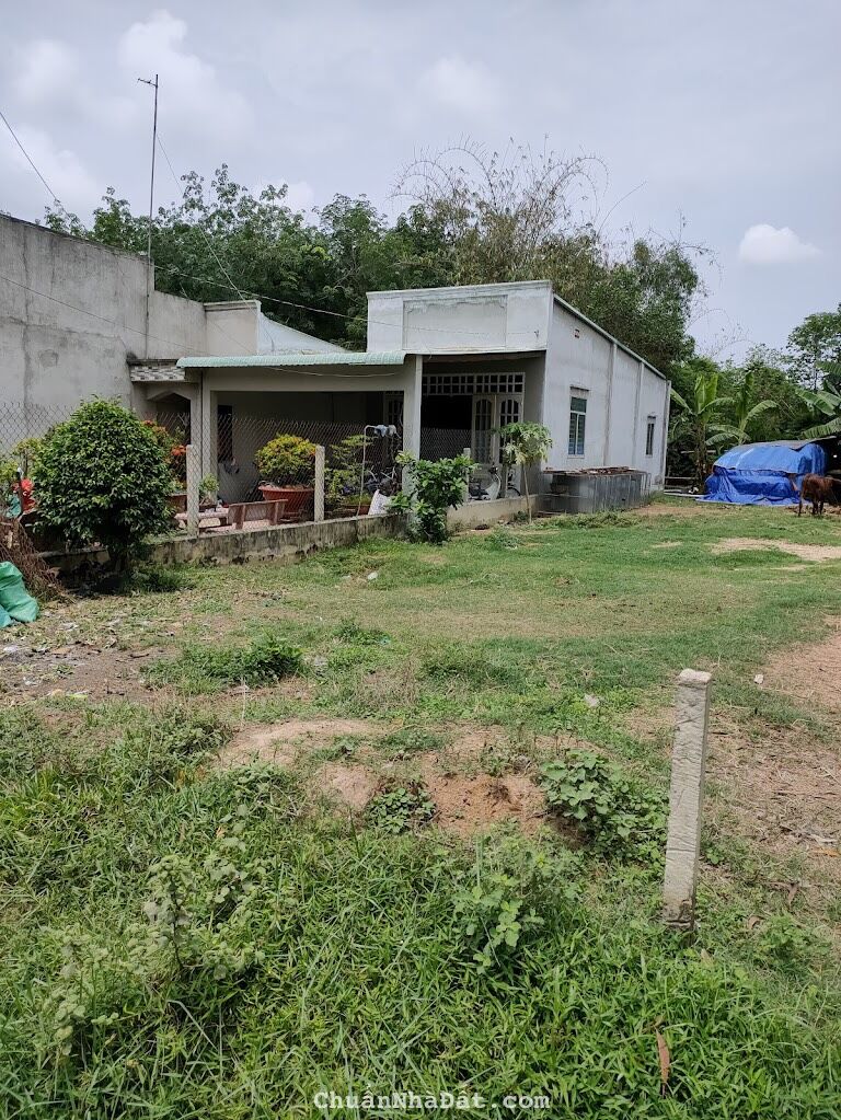 CẦN TIỀN NÊN BÁN NHANH LÔ ĐẤT 130m2 CẦN TIỀN NÊN BÁN NHANH LÔ ĐẤT 130m2