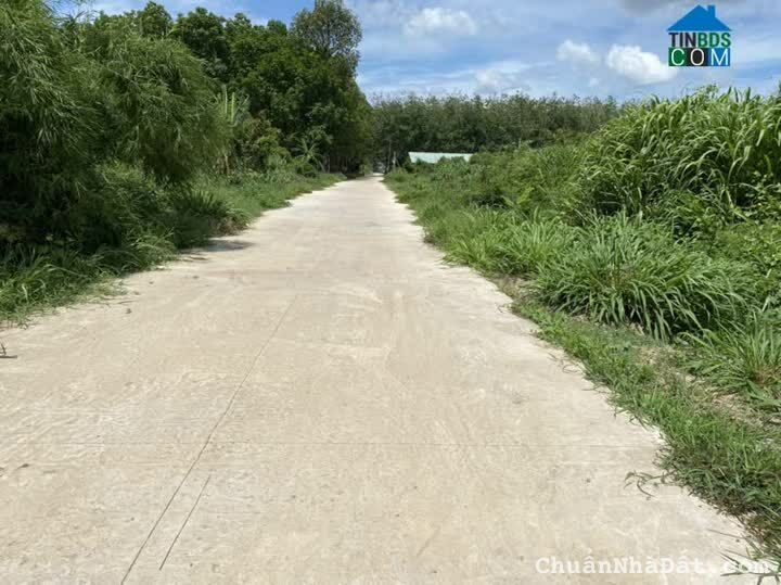 Cần vốn đầu tư nên gia đình cần bán lô đất 135m2 An Hòa, Trảng Bàng Cần vốn đầu tư nên gia đình cần bán lô đất 135m2 An Hòa, Trảng Bàng