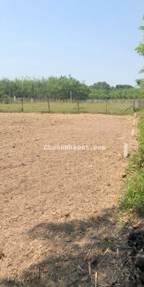 Cần vốn đầu tư nên gia đình cần bán lô đất 135m2 An Hòa, Trảng Bàng Cần vốn đầu tư nên gia đình cần bán lô đất 135m2 An Hòa, Trảng Bàng