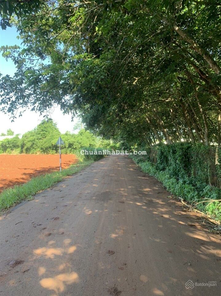 ĐẤT THÀNH PHỐ BÀ RỊA GIÁ RẺ- SÁT KHU DÂN CƯ