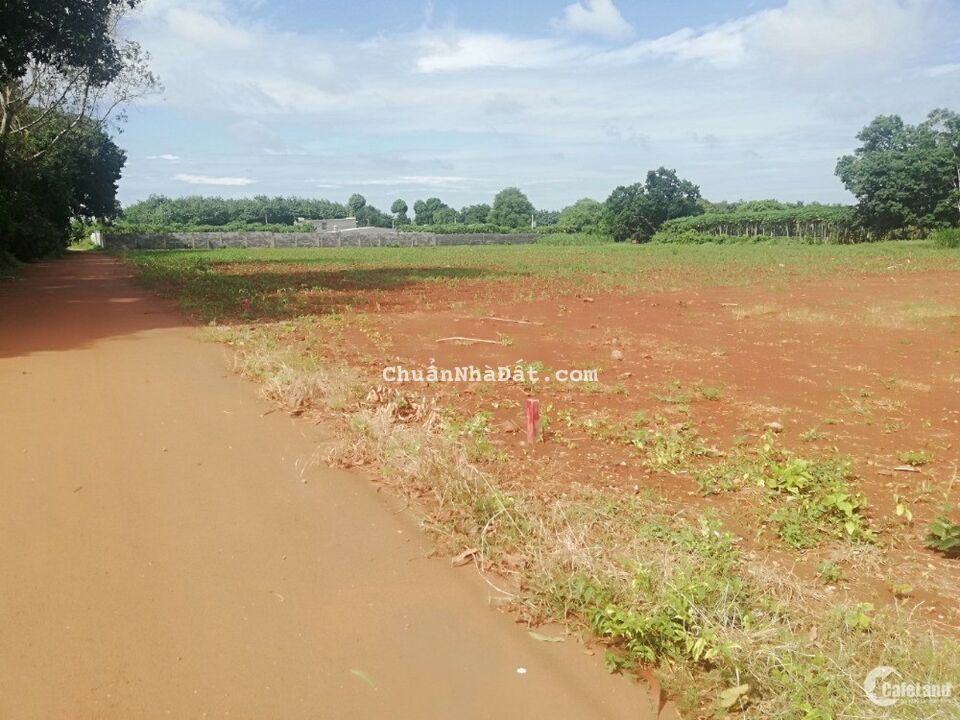 Đất Long phước TP Bà rịa - Vị trí vàng để đầu tư sinh lời hiện nay