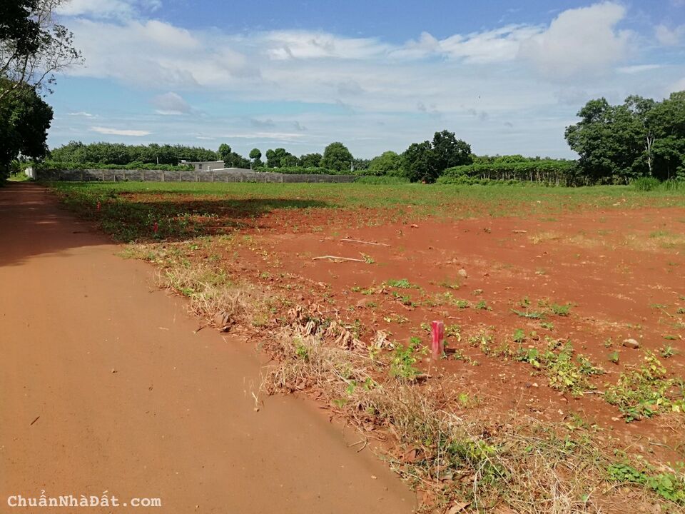 Sở hữu bất động sản tiềm năng ngay hôm nay với những ưu đãi đặc biệt Sở hữu bất động sản tiềm năng ngay hôm nay với những ưu đãi đặc biệt