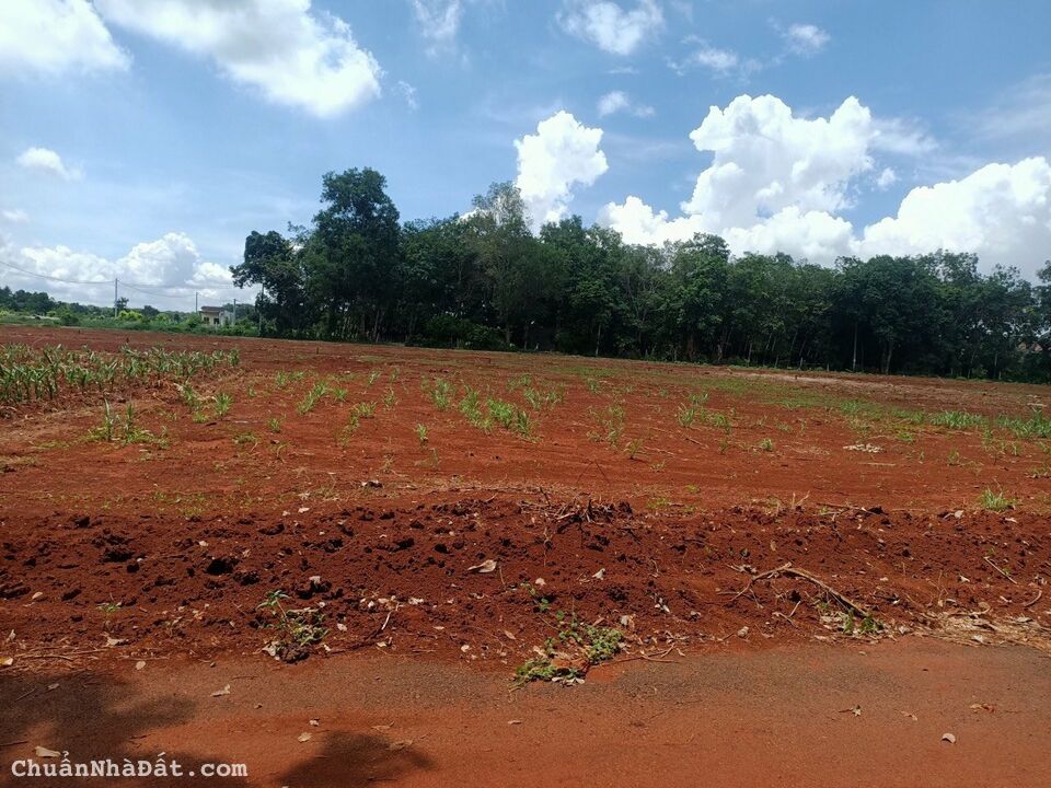 CHÍNH CHỦ CẦN BÁN GẤP LÔ ĐẤT TẠI XÃ LONG PHƯỚC - TP BÀ RỊA CHÍNH CHỦ CẦN BÁN GẤP LÔ ĐẤT TẠI XÃ LONG PHƯỚC - TP BÀ RỊA